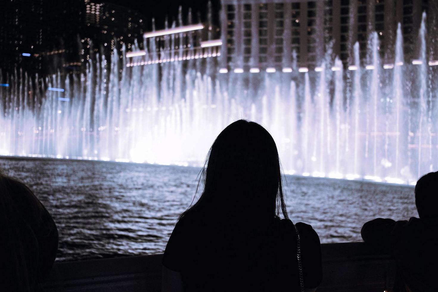 Fountain Light Show